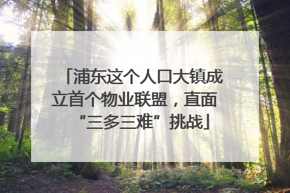 浦东这个人口大镇成立首个物业联盟，直面“三多三难”挑战