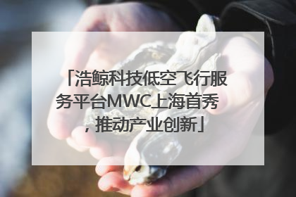 浩鲸科技低空飞行服务平台MWC上海首秀，推动产业创新