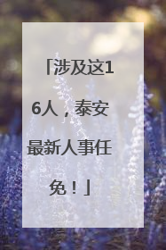 涉及这16人，泰安最新人事任免！