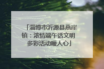 淄博市沂源县燕崖镇：浓情端午话文明 多彩活动暖人心