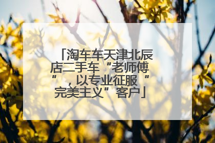 淘车车天津北辰店二手车“老师傅”，以专业征服“完美主义”客户