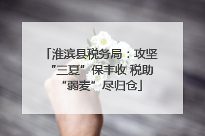 淮滨县税务局：攻坚“三夏”保丰收 税助“弱麦”尽归仓