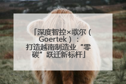 深度智控×歌尔（Goertek）：打造越南制造业“零碳”跃迁新标杆