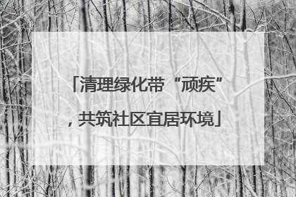 清理绿化带“顽疾”，共筑社区宜居环境