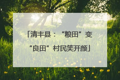 清丰县：“粮田”变“良田”村民笑开颜