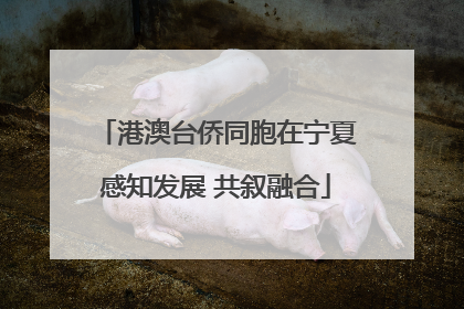 港澳台侨同胞在宁夏感知发展 共叙融合