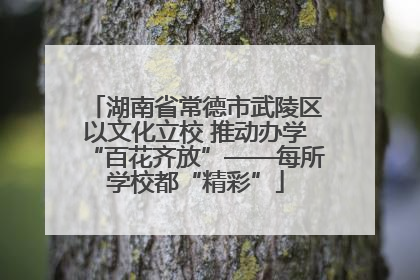 湖南省常德市武陵区以文化立校 推动办学“百花齐放”——每所学校都“精彩”