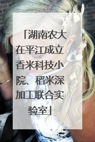 湖南农大在平江成立香米科技小院、稻米深加工联合实验室