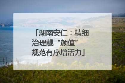 湖南安仁：精细治理靓“颜值” 规范有序增活力
