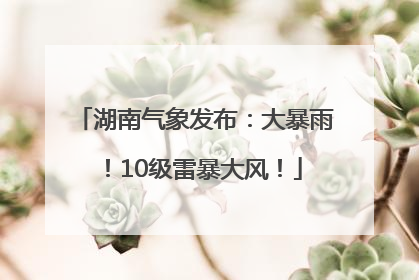 湖南气象发布：大暴雨！10级雷暴大风！