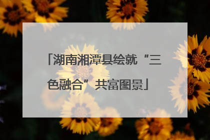 湖南湘潭县绘就“三色融合”共富图景