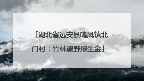 湖北省远安县鸣凤镇北门村：竹林遍野绿生金