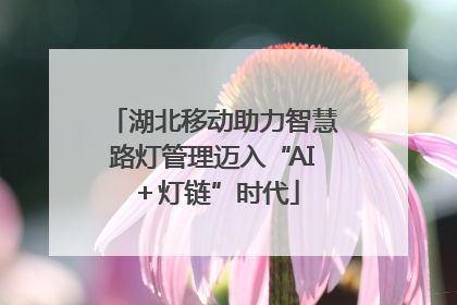 湖北移动助力智慧路灯管理迈入“AI＋灯链”时代