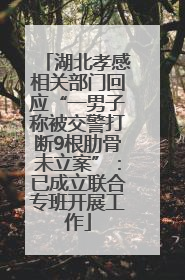 湖北孝感相关部门回应“一男子称被交警打断9根肋骨未立案”：已成立联合专班开展工作