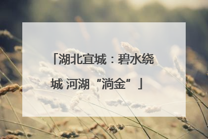 湖北宜城：碧水绕城 河湖“淌金”