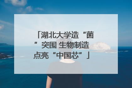 湖北大学造“菌”突围 生物制造点亮“中国芯”