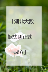 湖北大数据集团正式成立