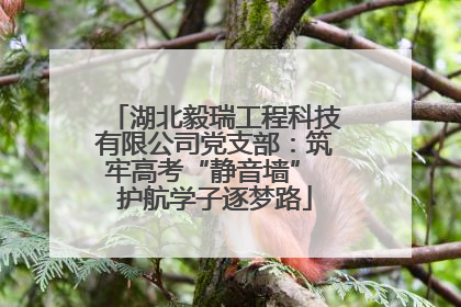 湖北毅瑞工程科技有限公司党支部：筑牢高考“静音墙” 护航学子逐梦路