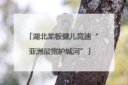 湖北桨板健儿竞速“亚洲最宽护城河”