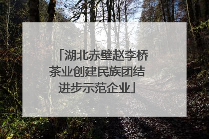 湖北赤壁赵李桥茶业创建民族团结进步示范企业