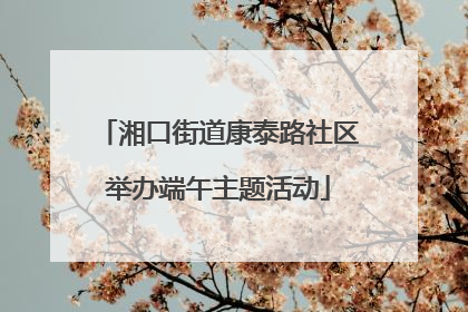 湘口街道康泰路社区举办端午主题活动