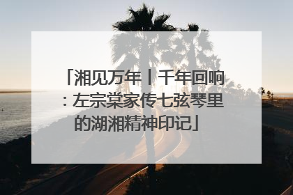 湘见万年丨千年回响：左宗棠家传七弦琴里的湖湘精神印记
