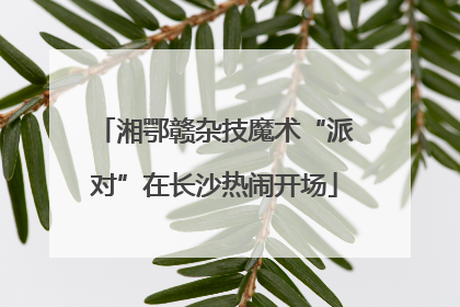 湘鄂赣杂技魔术“派对”在长沙热闹开场
