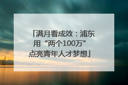 满月看成效：浦东用“两个100万”点亮青年人才梦想