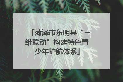 菏泽市东明县“三维联动”构建特色青少年护航体系