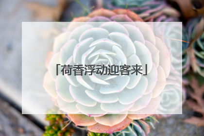 荷香浮动迎客来