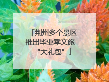荆州多个景区推出毕业季文旅“大礼包”