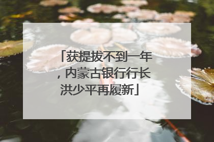 获提拔不到一年，内蒙古银行行长洪少平再履新