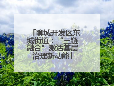 聊城开发区东城街道：“三链融合”激活基层治理新动能