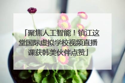 聚焦人工智能！镇江这堂国际虚拟学校视频直播课获韩美伙伴点赞