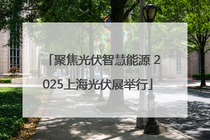 聚焦光伏智慧能源 2025上海光伏展举行