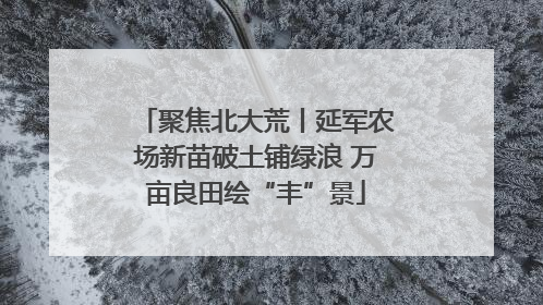 聚焦北大荒丨延军农场新苗破土铺绿浪 万亩良田绘“丰”景