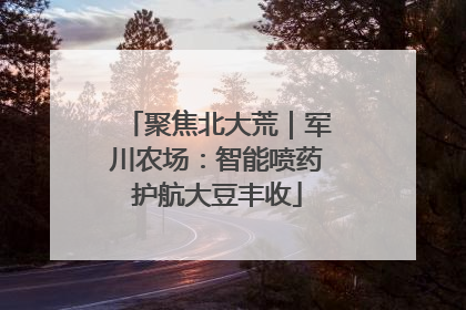 聚焦北大荒｜军川农场：智能喷药护航大豆丰收