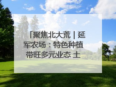 聚焦北大荒｜延军农场：特色种植带旺多元业态 土地焕发新活力
