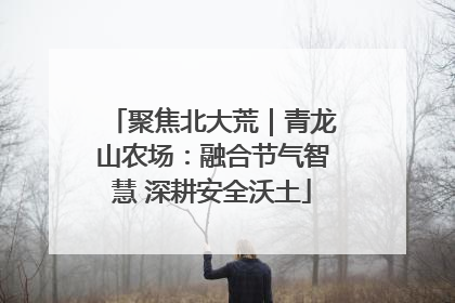 聚焦北大荒｜青龙山农场：融合节气智慧 深耕安全沃土