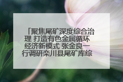 聚焦尾矿深度综合治理 打造有色金属循环经济新模式 张金良一行调研栾川县尾矿库综合治理工作