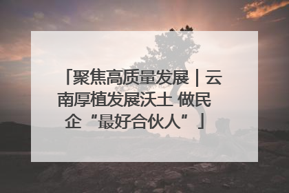聚焦高质量发展｜云南厚植发展沃土 做民企“最好合伙人”