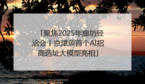 聚焦2025年廊坊经洽会丨京津冀首个AI招商选址大模型亮相