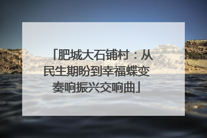 肥城大石铺村：从民生期盼到幸福蝶变奏响振兴交响曲
