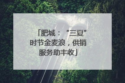 肥城：“三夏”时节金麦浪，供销服务助丰收