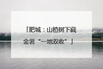 肥城：山楂树下藏金薯“一地双收”