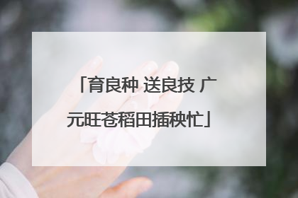 育良种 送良技 广元旺苍稻田插秧忙