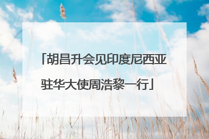 胡昌升会见印度尼西亚驻华大使周浩黎一行