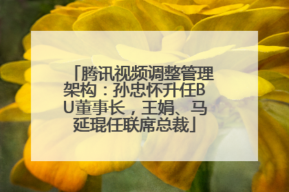 腾讯视频调整管理架构：孙忠怀升任BU董事长，王娟、马延琨任联席总裁