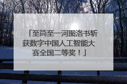 至简至一河图洛书斩获数字中国人工智能大赛全国二等奖！