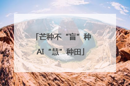 芒种不“盲”种 AI“慧”种田